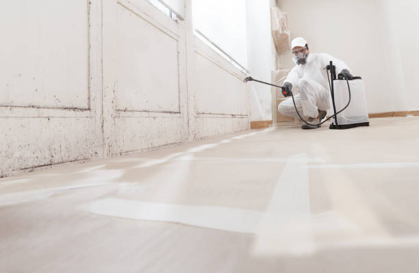 24/7 Emergency Mold Remediation experts in Auburn, NY